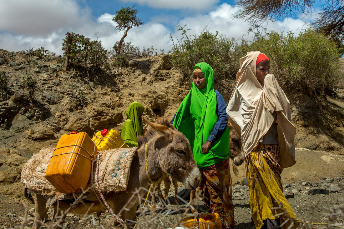 Two girls walk with a donkey to gather water from a shallow well outside of their town. The donkey has two yellow water jugs tied to its side with rope.