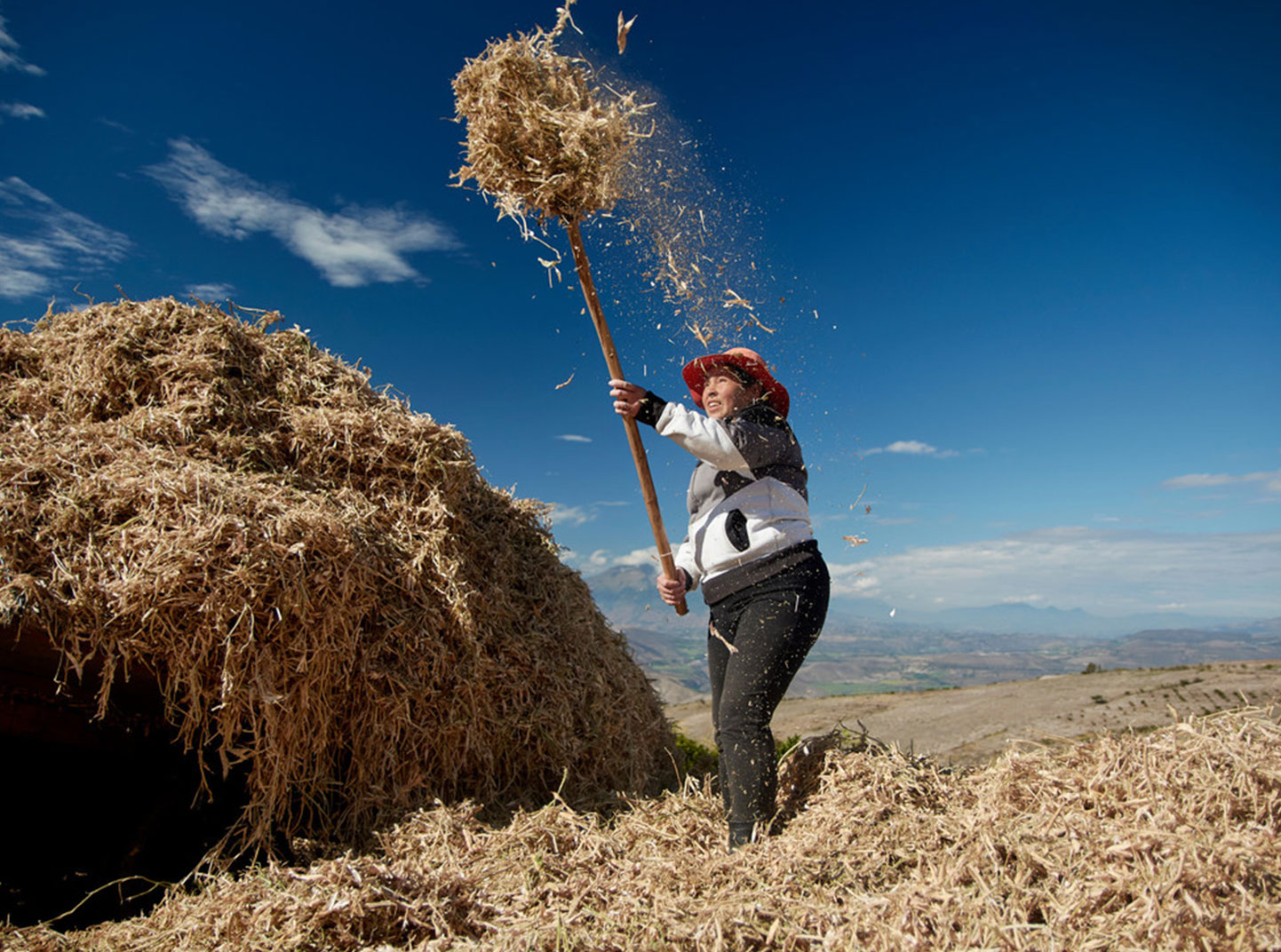 A woman bales hay in a field.